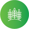 Agriculture and Forestry